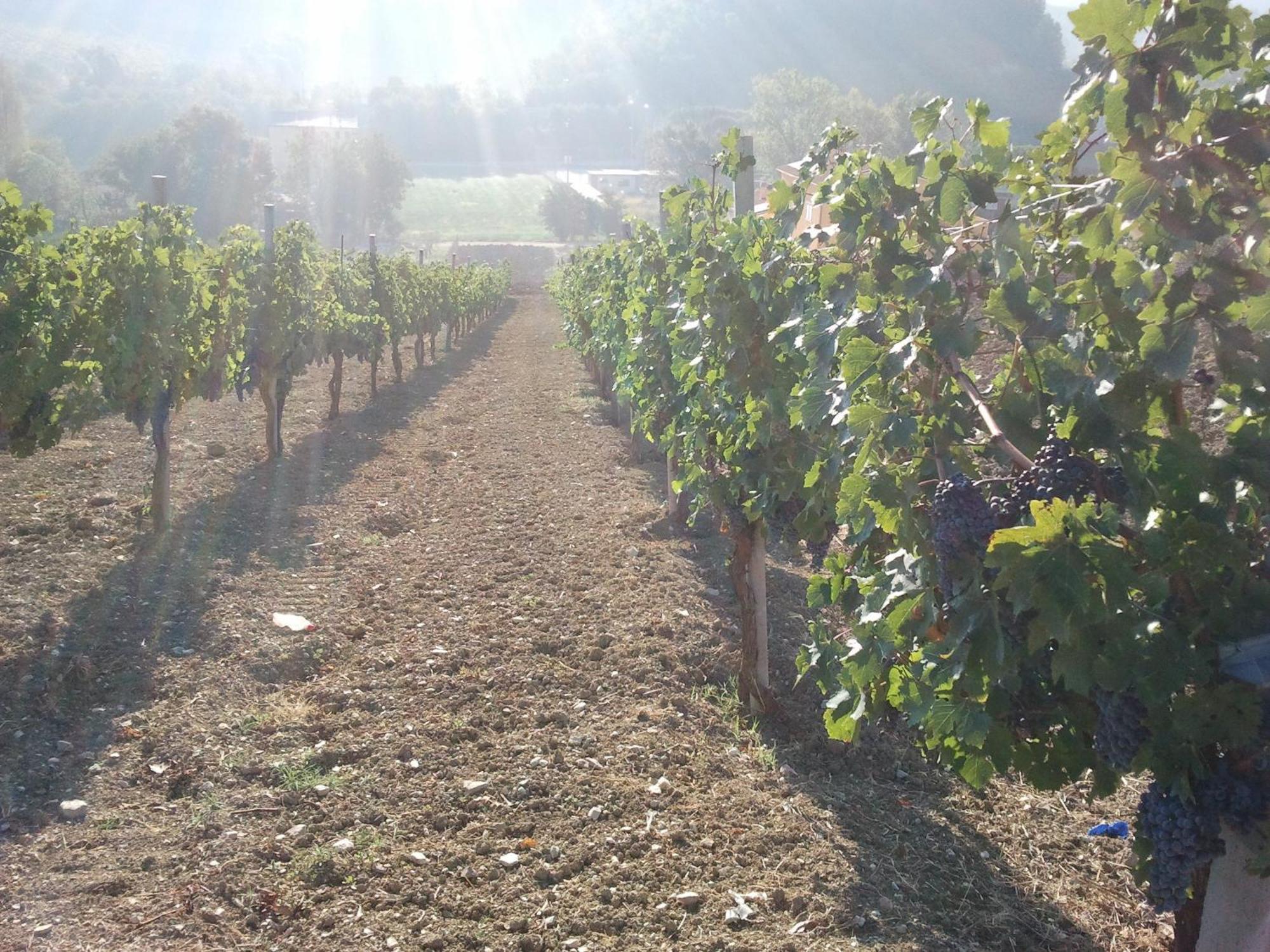 Agriturismo San Vito Crocemaroggia Экстерьер фото